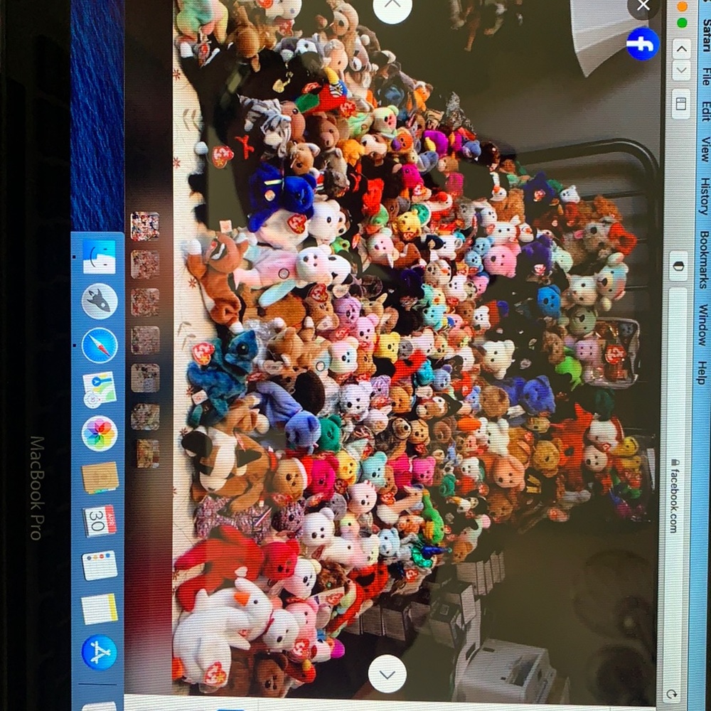 Ty beanies.       Over 1000 of them.